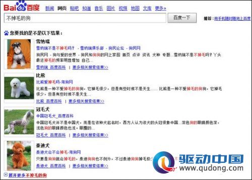 百度效仿谷歌测试实体搜索 根据搜索词给答案