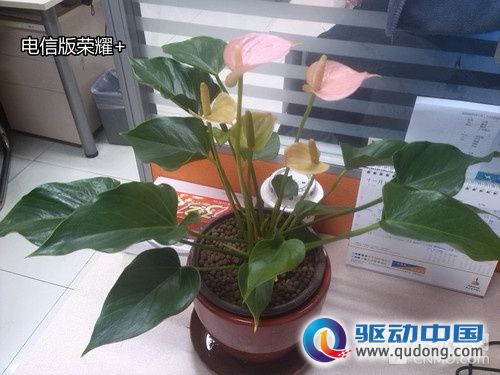 决战千元智能 华为荣耀+系列对比评测