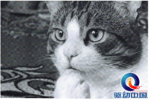 节约成本 兄弟DCP-7057一体机评测