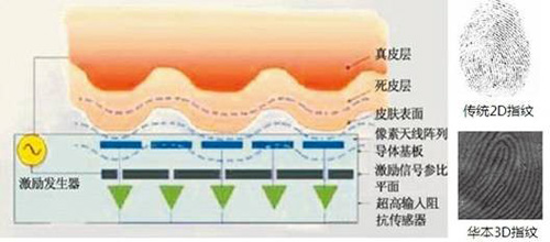 华本3D指纹考勤仪 打击驾照代考之风