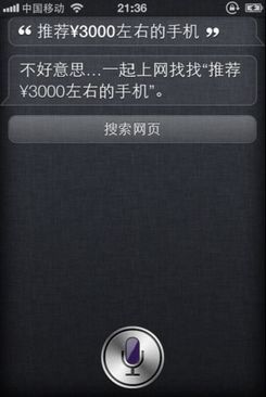 谁会说中文？预见中文语音搜索市场的未来