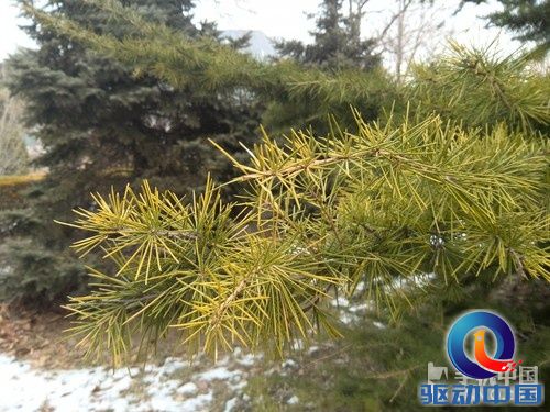 1300万像素四核 华为Ascend D2拍照评测