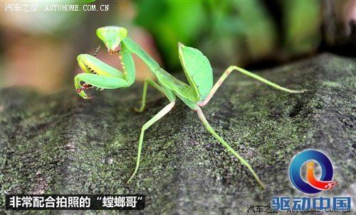 汽车之家