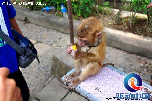 汽车之家