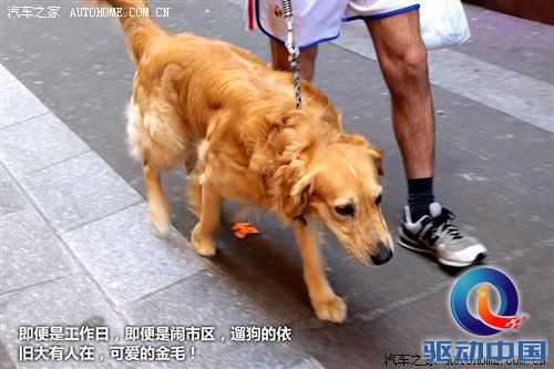 2010年游记：5天4夜！感受法兰西的浪漫 汽车之家