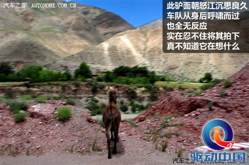 从四川到西藏 2010年Jeep极致之旅游记 汽车之家