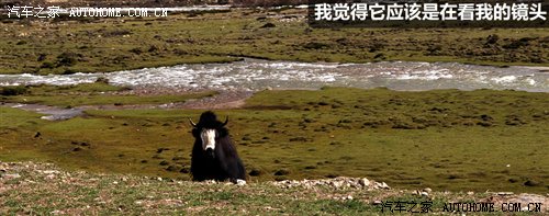 从四川到西藏 2010年Jeep极致之旅游记 汽车之家