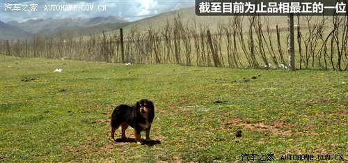 从四川到西藏 2010年Jeep极致之旅游记 汽车之家