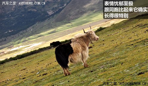从四川到西藏 2010年Jeep极致之旅游记 汽车之家