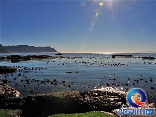 南非世界杯之旅 游览开普敦海景风光 汽车之家