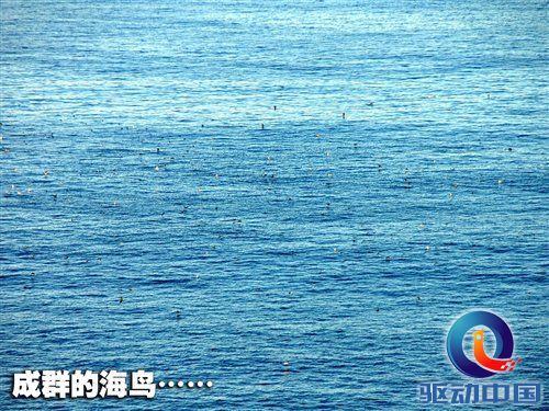 南非世界杯之旅 游览开普敦海景风光 汽车之家
