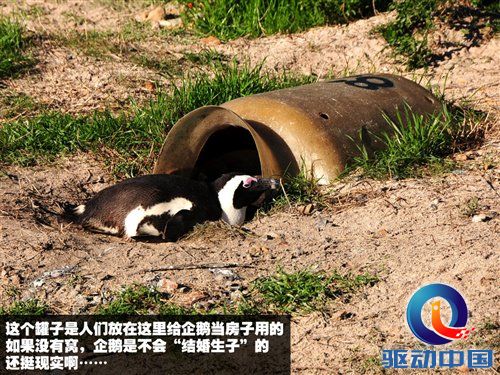 南非世界杯之旅 游览开普敦海景风光 汽车之家