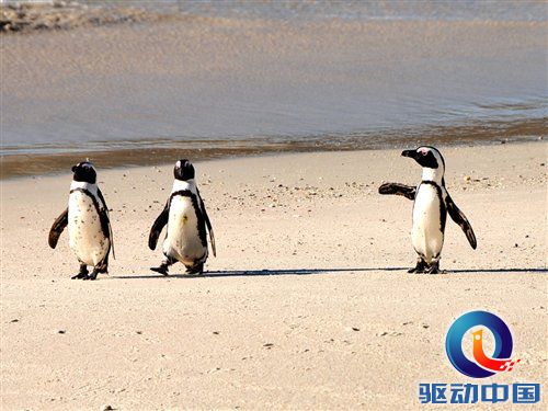 南非世界杯之旅 游览开普敦海景风光 汽车之家