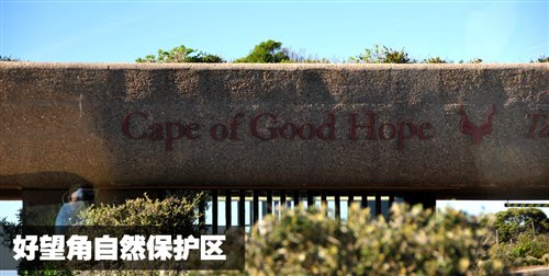 南非世界杯之旅 游览开普敦海景风光 汽车之家