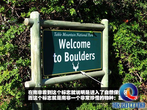 南非世界杯之旅 游览开普敦海景风光 汽车之家