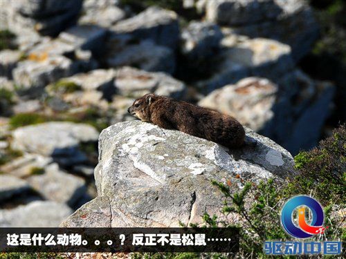 南非世界杯之旅 游览开普敦海景风光 汽车之家