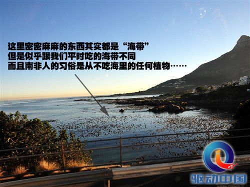 南非世界杯之旅 游览开普敦海景风光 汽车之家