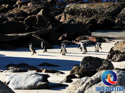 南非世界杯之旅 游览开普敦海景风光 汽车之家