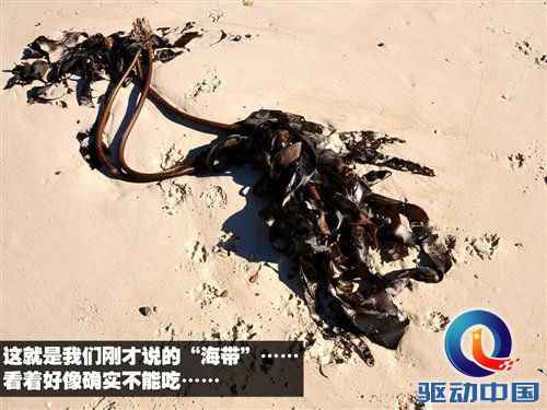 南非世界杯之旅 游览开普敦海景风光 汽车之家