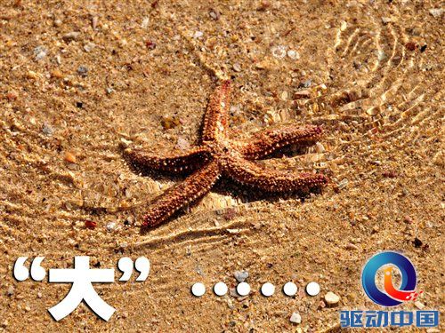 南非世界杯之旅 游览开普敦海景风光 汽车之家