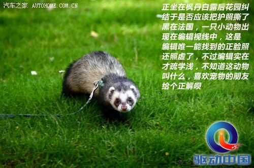 汽车之家