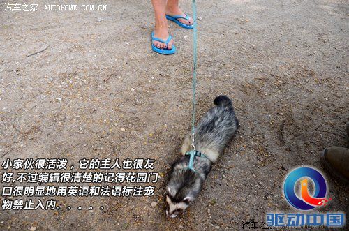 汽车之家