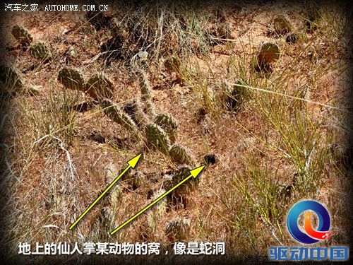 走马观花看美国 盐湖城-西雅图游记 汽车之家