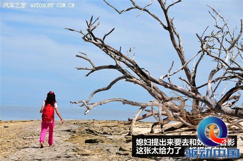 2011年韩路旅行游记：澳大利亚东海岸 汽车之家