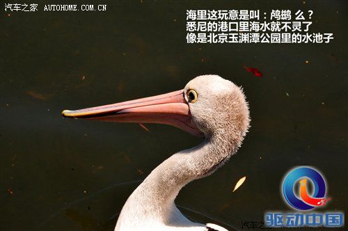 2011年韩路旅行游记：澳大利亚东海岸 汽车之家