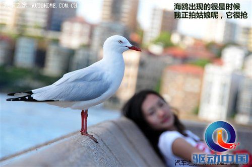 2011年韩路旅行游记：澳大利亚东海岸 汽车之家