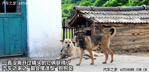 追寻东北虎踪迹 探访吉林珲春保护区 汽车之家