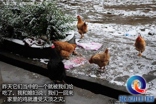 汽车之家