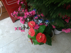 IMG20130410154335451