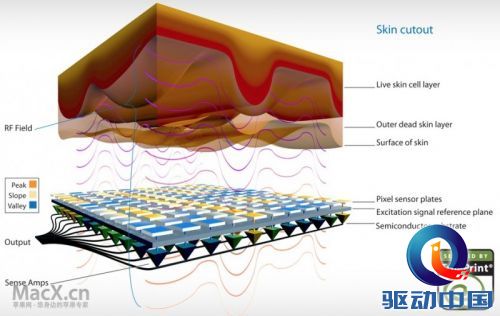 authentec_cross_section-800x507.jpg authentec_cross_section-800x507.jpg