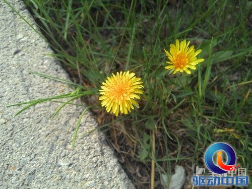 2GHz英特尔双核巨屏 联想K900深度评测 