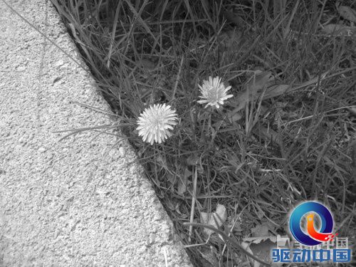 2GHz英特尔双核巨屏 联想K900深度评测 