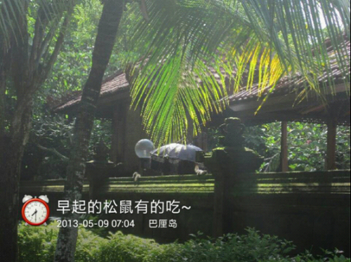 Z5-4 有爱在巴厘 水印相机里的你和我-196