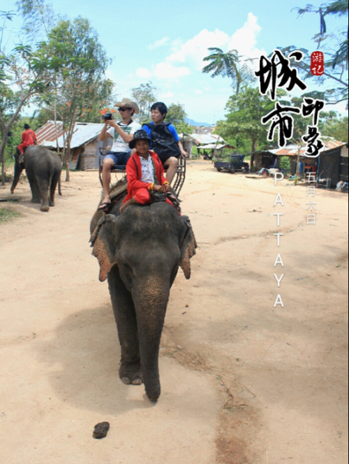 Z5-7 水印相机记录&ldquo;欲求不满&rdquo;的泰国之旅-89