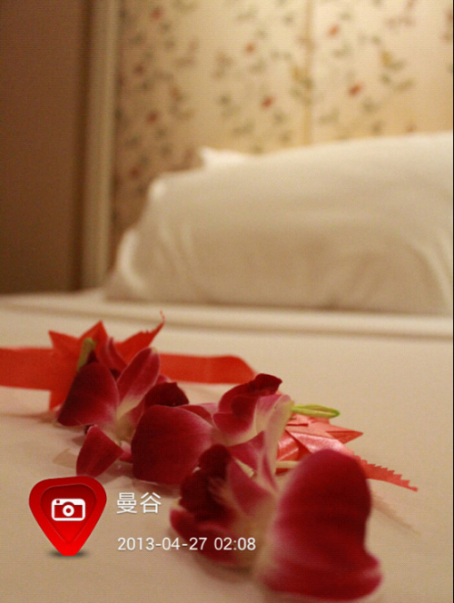 Z5-7 水印相机记录&ldquo;欲求不满&rdquo;的泰国之旅-613