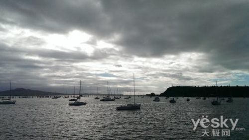 IMAG0262