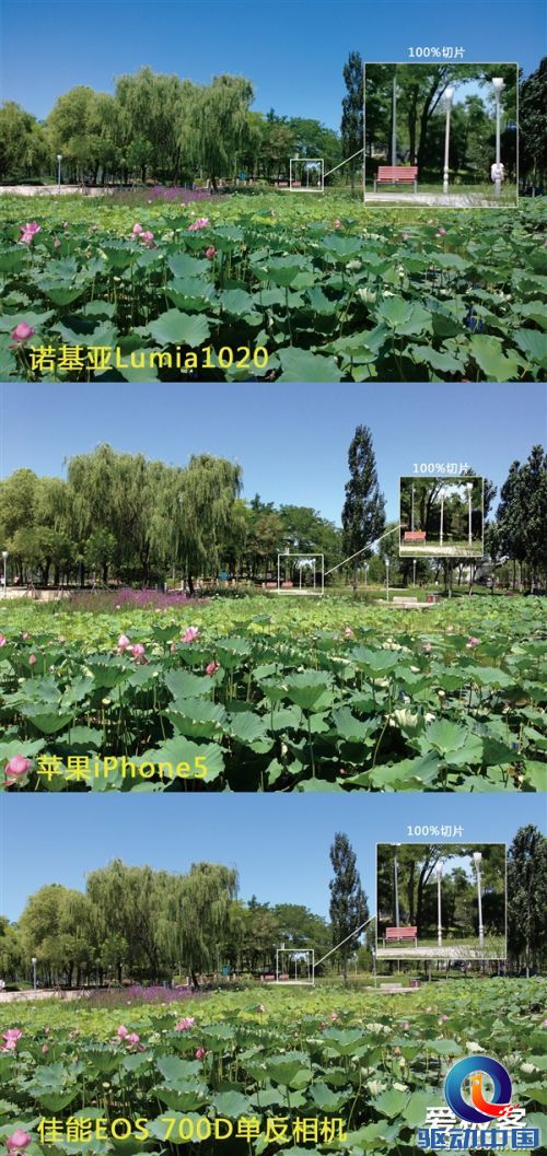 Lumia 1020/iPhone 5/700D拍照样张对比
