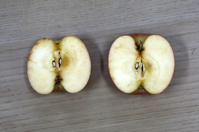 松下 冰箱 评测