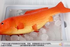 模仿你的生活 松下智慧六门原装冰箱评测