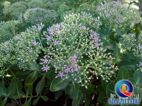 与红米手机同价 四核大屏联想670t评测第20张图 与红米手机同价 四核大屏联想670t评测第20张图