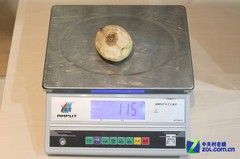 性能强劲创新十足 松下新多门冰箱测试