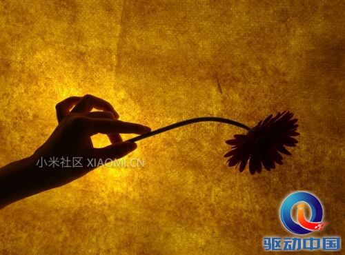 小米手机3实拍样张图赏