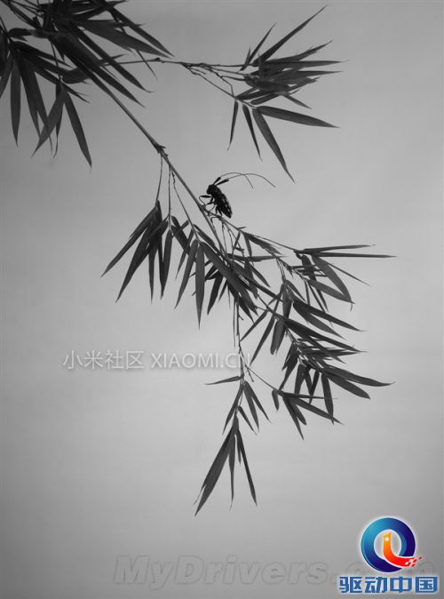 小米手机3实拍样张图赏
