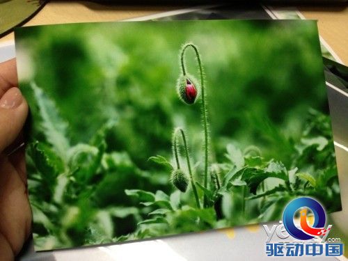 身边精致典范 爱普生XP-701喷墨一体机评测