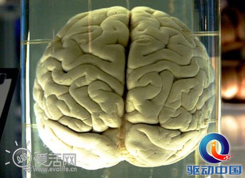 高通秘密研发神经元处理器 未来手机更“人性化”