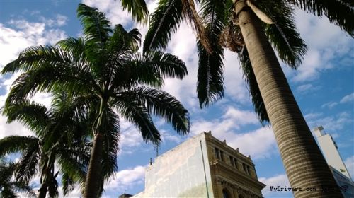 6寸旗舰锋芒初露：Lumia 1520拍照样张赏